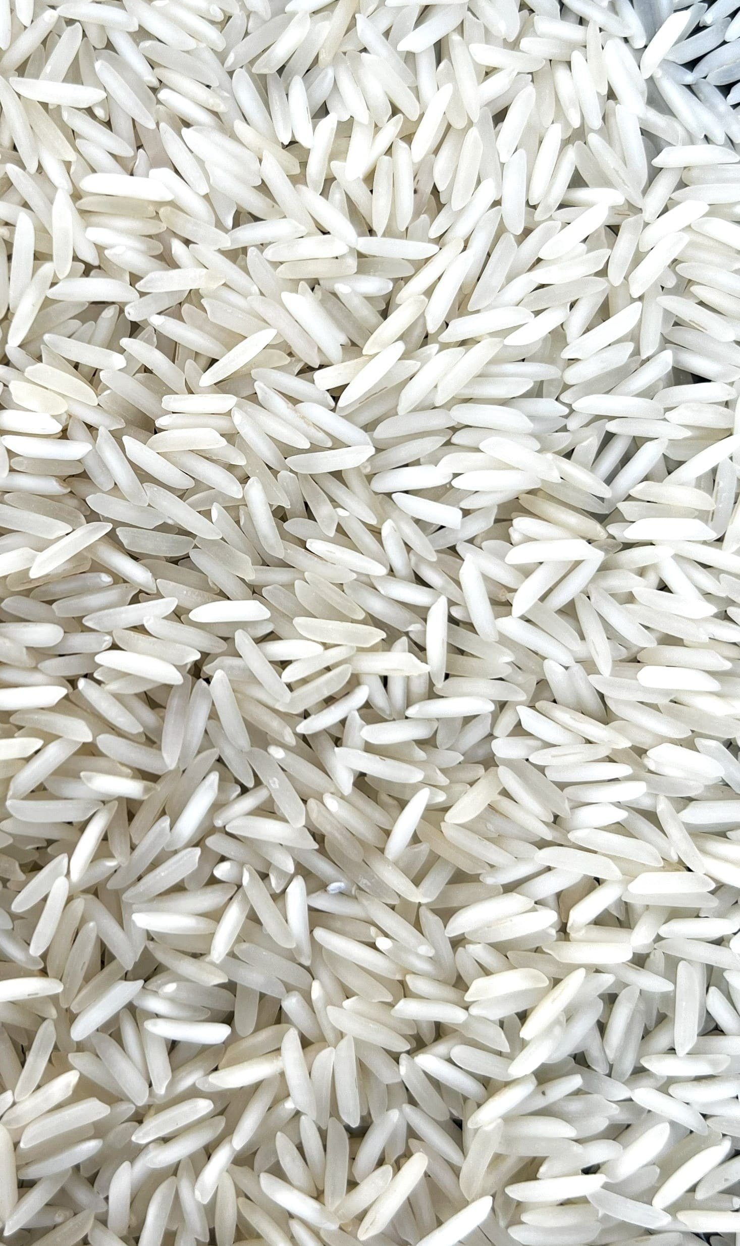 PR 11 Steam Rice